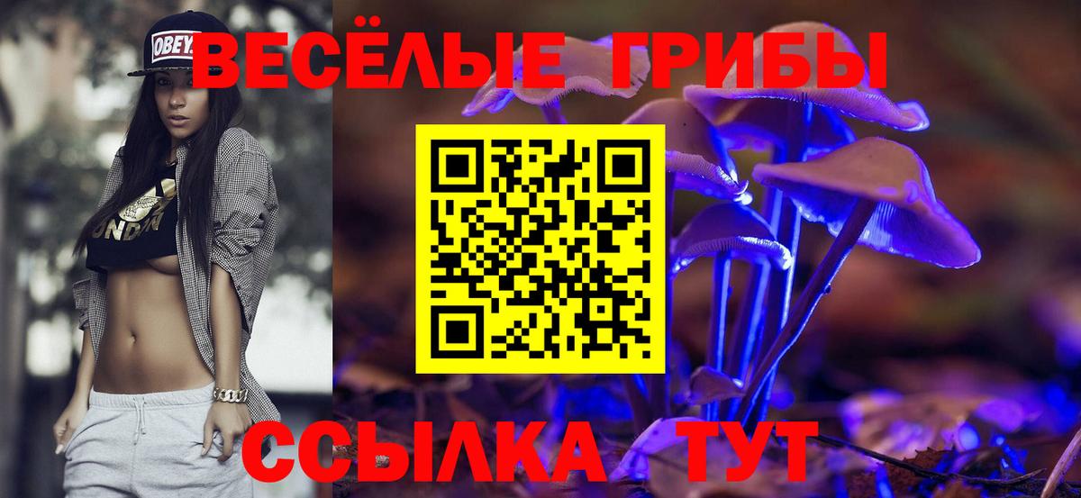 Альметьевск  Галлюциногенные грибы мицелий  Вход с VPN 